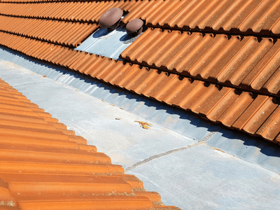 About Leaking Skylight Repair Pros Chloe, WV